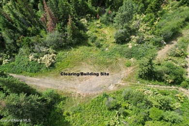 Stunning 20 Acre parcel (880' x 990') is located less than a - photo 12