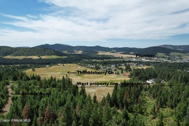 Stunning 20 Acre parcel (880' x 990') is located less than a - photo 13