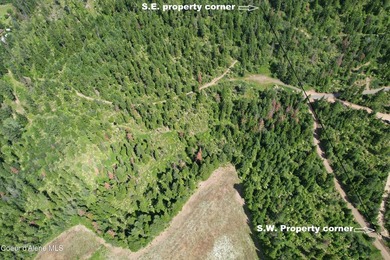 Stunning 20 Acre parcel (880' x 990') is located less than a - photo 14