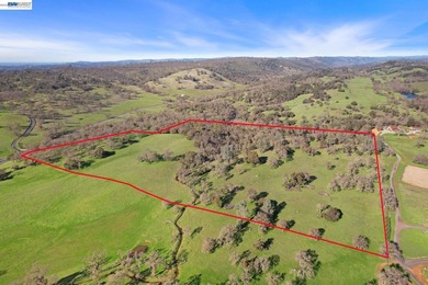 Rare opportunity to own 46.22 acres of stunning Sierra Foothills - photo 5