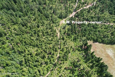 Stunning 20 Acre parcel (880' x 990') is located less than a - photo 15