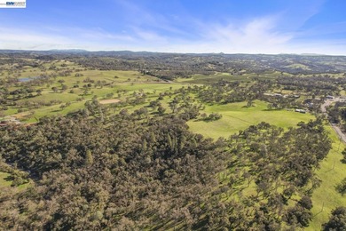 Rare opportunity to own 46.22 acres of stunning Sierra Foothills - photo 8
