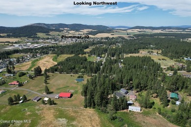Stunning 20 Acre parcel (880' x 990') is located less than a - photo 19