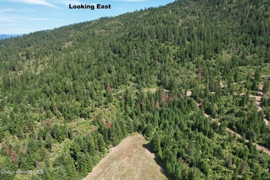Stunning 20 Acre parcel (880' x 990') is located less than a - photo 21
