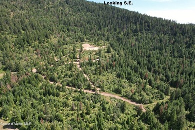 Stunning 20 Acre parcel (880' x 990') is located less than a - photo 22