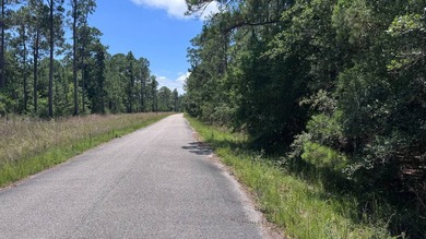 Here is a rare opportunity to own property in John's Bayou - photo 22
