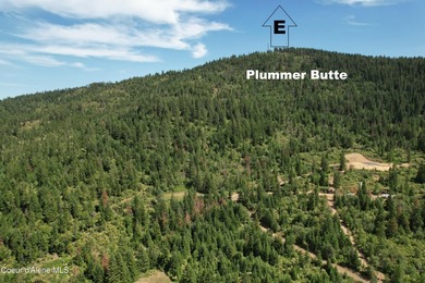 Stunning 20 Acre parcel (880' x 990') is located less than a - photo 23