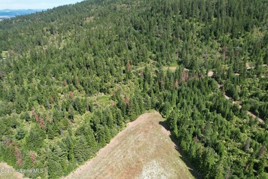 Stunning 20 Acre parcel (880' x 990') is located less than a - photo 24