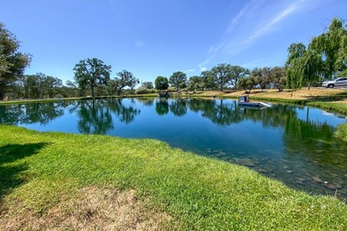 Enjoy waterfront living in the gated community of Lake - photo 37