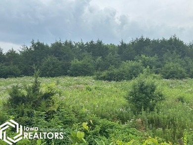 (private lake, pond, creek) Acreage For Sale in Bloomfield Iowa