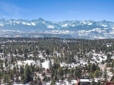 Mistalyn Kuzov, United Country Sneffels Realty, C:,,: Motivated - photo 2