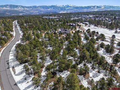 Mistalyn Kuzov, United Country Sneffels Realty, C:,,: Motivated - photo 4