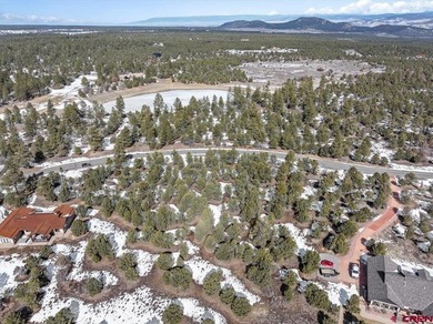 Mistalyn Kuzov, United Country Sneffels Realty, C:,,: Motivated - photo 5