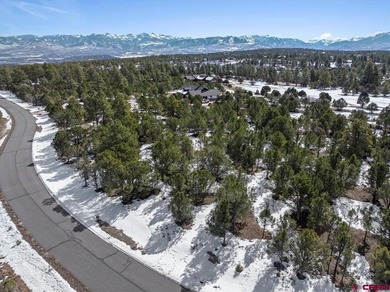 Mistalyn Kuzov, United Country Sneffels Realty, C:,,: Motivated - photo 6