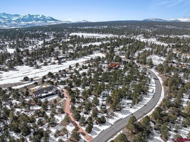 Mistalyn Kuzov, United Country Sneffels Realty, C:,,: Motivated - photo 7