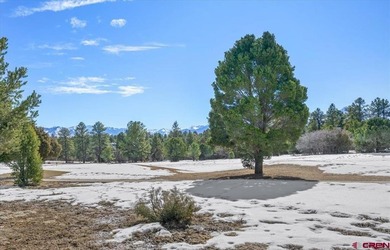 Mistalyn Kuzov, United Country Sneffels Realty, C:,,: Motivated - photo 8