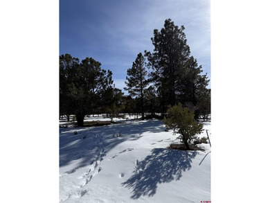 Mistalyn Kuzov, United Country Sneffels Realty, C:,,: Motivated - photo 9