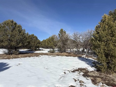 Mistalyn Kuzov, United Country Sneffels Realty, C:,,: Motivated - photo 10