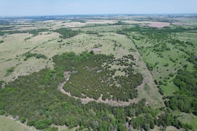 Exceptional 220-acre recreational property located in the Flint - photo 3