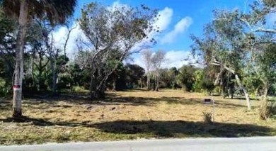 Rare opportunity to own pristine land, located on one of the - photo 5