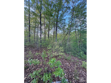 **Listed below tax value!** Vista at Bill's Mountain is a - photo 2