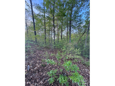 **Listed below tax value!** Vista at Bill's Mountain is a - photo 3