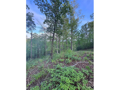 **Listed below tax value!** Vista at Bill's Mountain is a - photo 4
