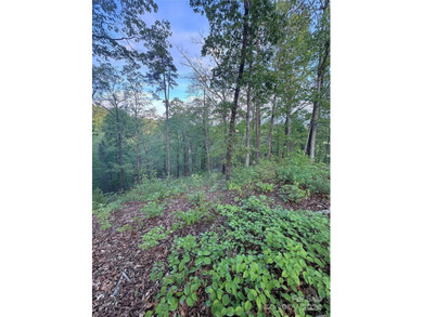 **Listed below tax value!** Vista at Bill's Mountain is a - photo 5