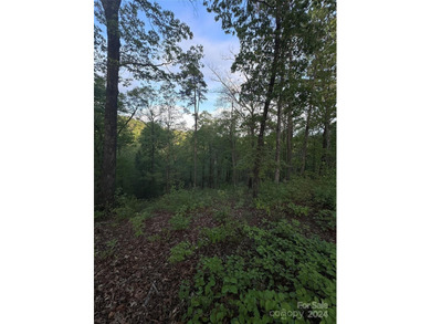 **Listed below tax value!** Vista at Bill's Mountain is a - photo 6