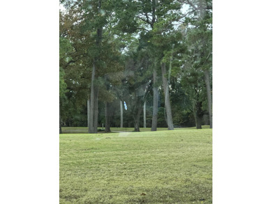 Lake Marion Lot For Sale in Santee South Carolina