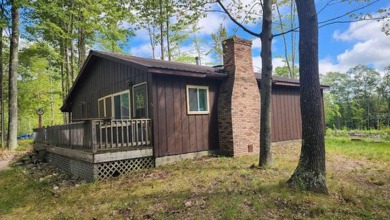 (private lake, pond, creek) Home For Sale in Spruce Michigan