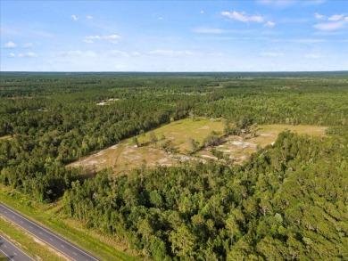 (private lake, pond, creek) Acreage For Sale in Hawthorne Florida