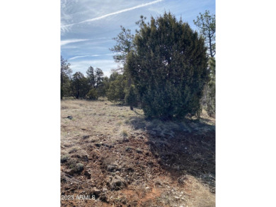 Show Low Lake Lot For Sale in Lakeside Arizona