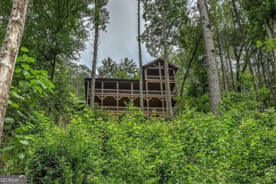 Lake Home For Sale in Ellijay, Georgia