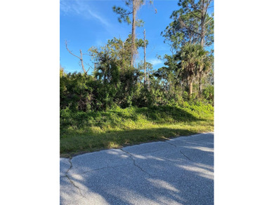 Port Charlotte Waterway Area Lot For Sale in Port Charlotte Florida