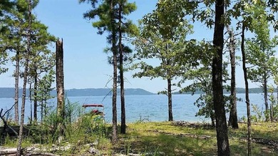 Unique opportunity to build your dream home on this beautiful 1 - photo 2