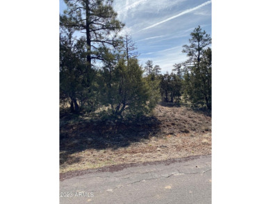 Show Low Lake Lot For Sale in Lakeside Arizona