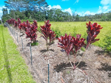 Beautiful, fully fenced 1-acre property in the peaceful Leilani - photo 2