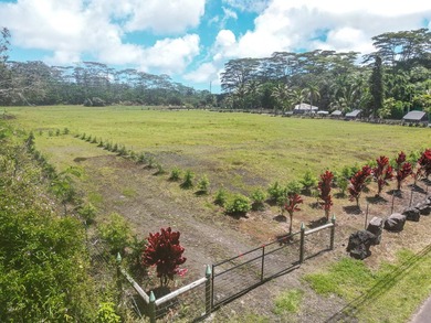 Beautiful, fully fenced 1-acre property in the peaceful Leilani - photo 3