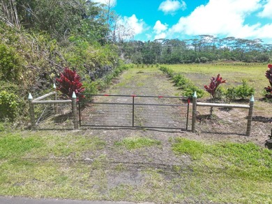 Beautiful, fully fenced 1-acre property in the peaceful Leilani - photo 5