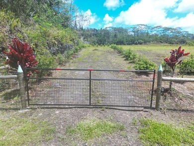 Beautiful, fully fenced 1-acre property in the peaceful Leilani - photo 6