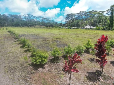 Beautiful, fully fenced 1-acre property in the peaceful Leilani - photo 7