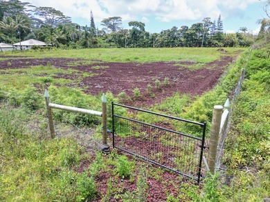 Beautiful, fully fenced 1-acre property in the peaceful Leilani - photo 8