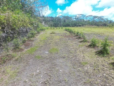 Beautiful, fully fenced 1-acre property in the peaceful Leilani - photo 9