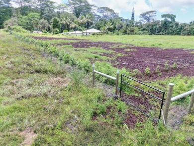Beautiful, fully fenced 1-acre property in the peaceful Leilani - photo 10
