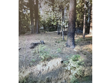 Lake Lot For Sale in Shaver Lake, California
