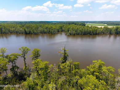 Welcome to your future home. This beautiful quiet waterside - photo 11