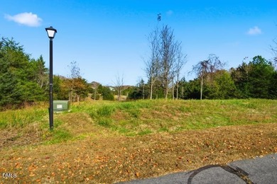 Farmers Lake Acreage Sale Pending in Yanceyville North Carolina