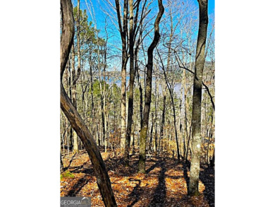 Lake Acreage For Sale in Chatsworth, Georgia