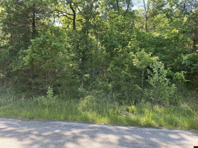 Lake Lot For Sale in Yellville, Arkansas
